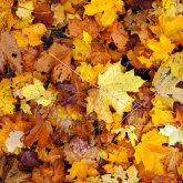 Алдағы күндері еліміздің ірі қалаларында ауа райы қандай болады?