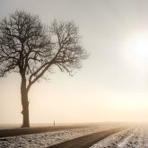 «Тұман, көктайғақ»: Еліміздің 11 өңірінде дауылды ескерту жарияланды