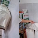 Петропавлда мектеп асханасынан құрт-құмырсқа табылды