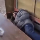 Жезқазған саябақтары мас адамдар мен қаңғыбас иттердің жатын орнына айналды