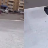 Семейдің Қарағайлысы қара күйеге көміліп қалды - тұрғындар ашулы