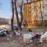 Тараздың қақ ортасы қоқысқа толды – әкімдік жылдар бойы көрмегендей отыр