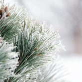 Бүгін бірнеше өңірде ауа райы қолайсыз болады