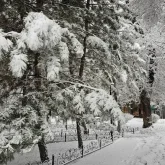 Қатты аяз, боран: Синоптиктер бейсенбіге арналған болжам жасады