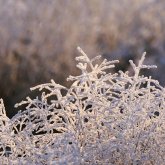 Ауа райы күрт бұзылады: Еліміздің бірнеше өңірінде дауылды ескерту жарияланды