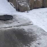 Балалар күнде жүретін жол құлап жатыр: Семейдің қақ ортасындағы қауіпті шұңқырды әкімдік көрмей отыр