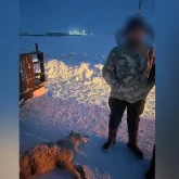 Абай облысында қасқыр атып алған жас жігіттің басы бәлеге қалды