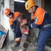 Жамбыл облысында 11 жастағы қыз көшедегі дәретханаға құлап кетті