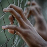 «Темір торға байлап іліп қойған»: Шымкенттегі колония қызметкерлері сотталғандарды азаптады деген күдікке ілінді