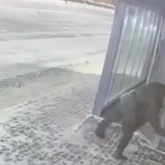 Астанада ер адам жылы аялдаманың әйнегін сындырып, қашып кеткен (ВИДЕО)