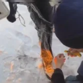 Павлодарда автобус мұз астына түсіп, 4 балықшы өлім аузынан қалды