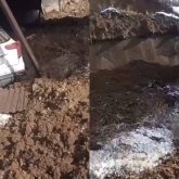 Алматы облысында лай көшкіні үй ауласына құлап, көлікті басып қалды