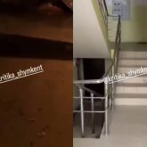 Жертөлені су басқан: Шымкентте ипотекаға алынған жаңа үйлер жарамсыз күйге түсті