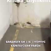 Кәріз суы үш аптадан бері паркингке ағып жатыр: Шымкентте тұрғындары әкімдік жұмысына наразы