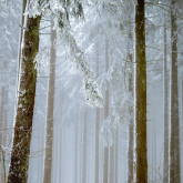 «Көктайғақ, тұман»: Еліміздің бірнеше өңірінде ескерту жасалды