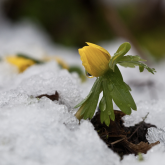 «Көктайғақ, тұман, боран»: Қазақстанның басым бөлігінде дауылды ескерту жарияланды