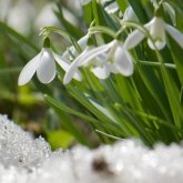 Нөсер жауын, аяз, жел: Ел аумағында күн әлі жылына қоймайды