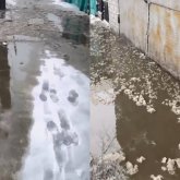 Семейде көшені су басты: Тұрғын әкімдікті сотқа бермек