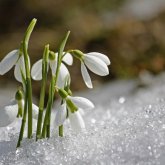 Бүгін елімізде жаңбыр, тұман және шаңды дауыл болады
