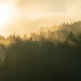 Жаңбыр, найғазай, көктайғақ: Бірқатар өңірде ауа райына байланысты ескерту жасалды