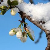 Қазақстанда ауа райы күрт өзгереді