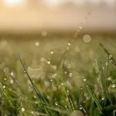 Жаңбыр, бұршақ, тұман: Еліміздің басым бөлігінде дауылды ескерту жарияланды