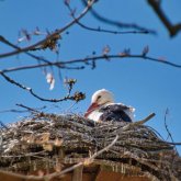 Бүгін еліміздің 16 өңірінде қолайсыз ауа райы болады
