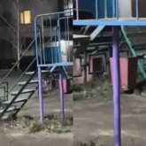 Көкшетауда балалар ойнайтын аулада егеуқұйрық қаптады