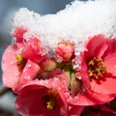 Жаңбыр, найзағай, қатты жел: Ел аумағында күн райы бұзылды