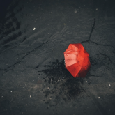 Тұман, жаңбыр: Елдің бірнеше өңірінде қолайсыз ауа райы сақталады