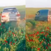Табиғатқа қиянат: Көлікпен қызғалдақ алқабын таптағандар жұрттың ашуына тиді