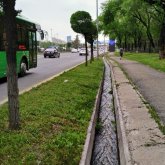 Алматыда арықтан ер адамның мәйіті табылды