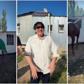 «Көкемізден хадия»: Мейрамбек Беспаев Әбдіжаппар Әлқожаға жылқы сыйлады (ВИДЕО)