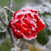 Үсік жүреді: бүгін еліміздің барлық өңірінде дауылды ескерту жарияланды