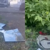 Көкшетаудың көркі қашып тұр: Гүл павильондарының тасасындағы қоқысқа кім жауапты?