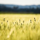 Еліміздің барлық дерлік өңірінде дауылды ескерту жарияланды