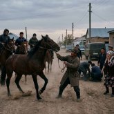 Бауыры жаншылып, қолы сынған: Ақмола облысында 3 жасар баланы жылқы таптап кетті