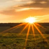 Бүгін еліміздің 4 өңірінде аптап ыстық болатыны болжанады