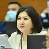 Шетелдіктерге суррогат ана қызметін пайдалануға тыйым салынуы мүмкін