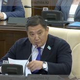 «220 млн теңге аударылған»: депутат сот орындаушыларына қатысты деректерді мәлімдеді (ВИДЕО)