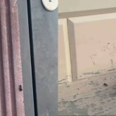 «Атырауды қарақұрт жаулады»: Әкімдік халықты улы жәндікпен бетпе-бет қалдырды ма?