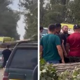 4 адам жарақат алды: Алматы облысында алып ағаш екі көлікті басып қалды