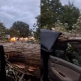 «Ішінде 5 адам болған»: Талдықорған-Текелі тасжолында алып ағаш көліктің үстіне құлады