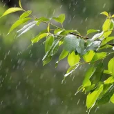 Алдағы күндері еліміздің бірқатар өңірінде қар жауады