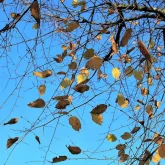 6 қыркүйекте барлық өңірде дауылды ескерту жарияланды
