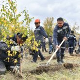 Қазақмыс жұмыскерлердің бастамасына қолдау көрсетті: Қарағайлыда 400 түп ағаш отырғызылды