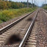 Ақмола облысында жолаушылар пойызы 13 бас малды қағып кетті
