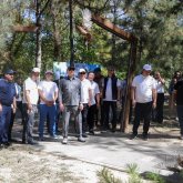 Шымкент тұрғындары экологиялық акцияда белсенділік танытты