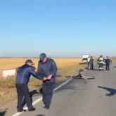 Алматы–Екатеринбург тасжолында көлік апатынан әйел көз жұмды