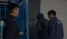 Қызылордада ер адам көршісі мен қызын пышақтап өлтірді (ВИДЕО)